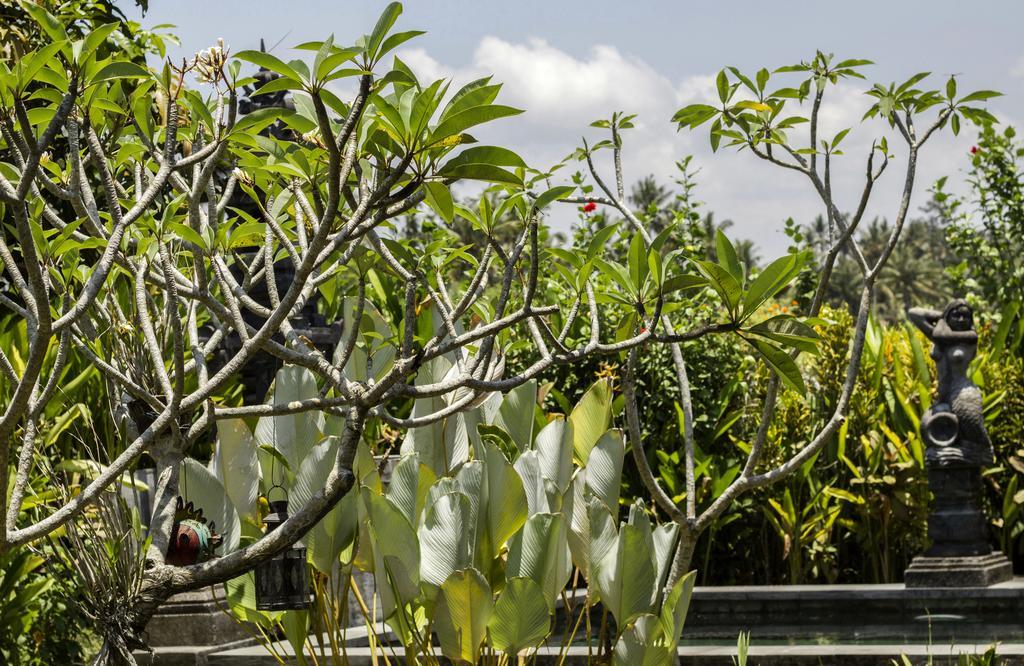 Graha Rusni Villa Ubud Cameră foto